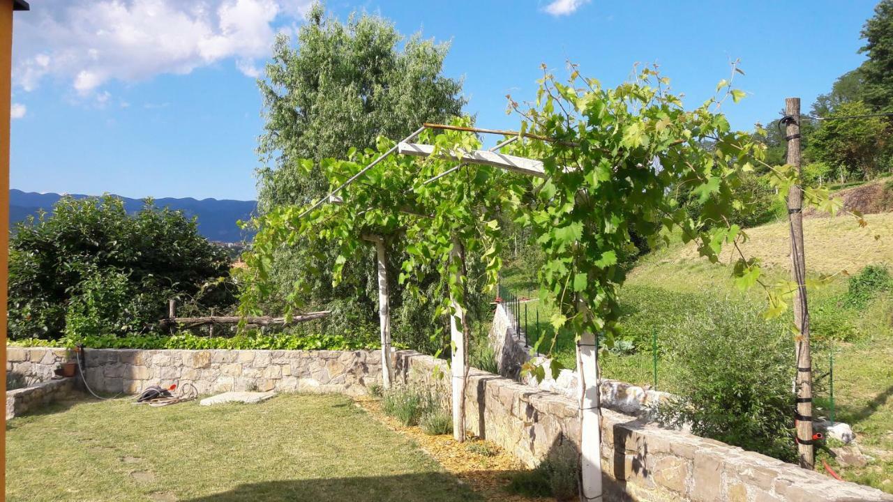 Dobravlje Pocitniska Hisaゲストハウス エクステリア 写真